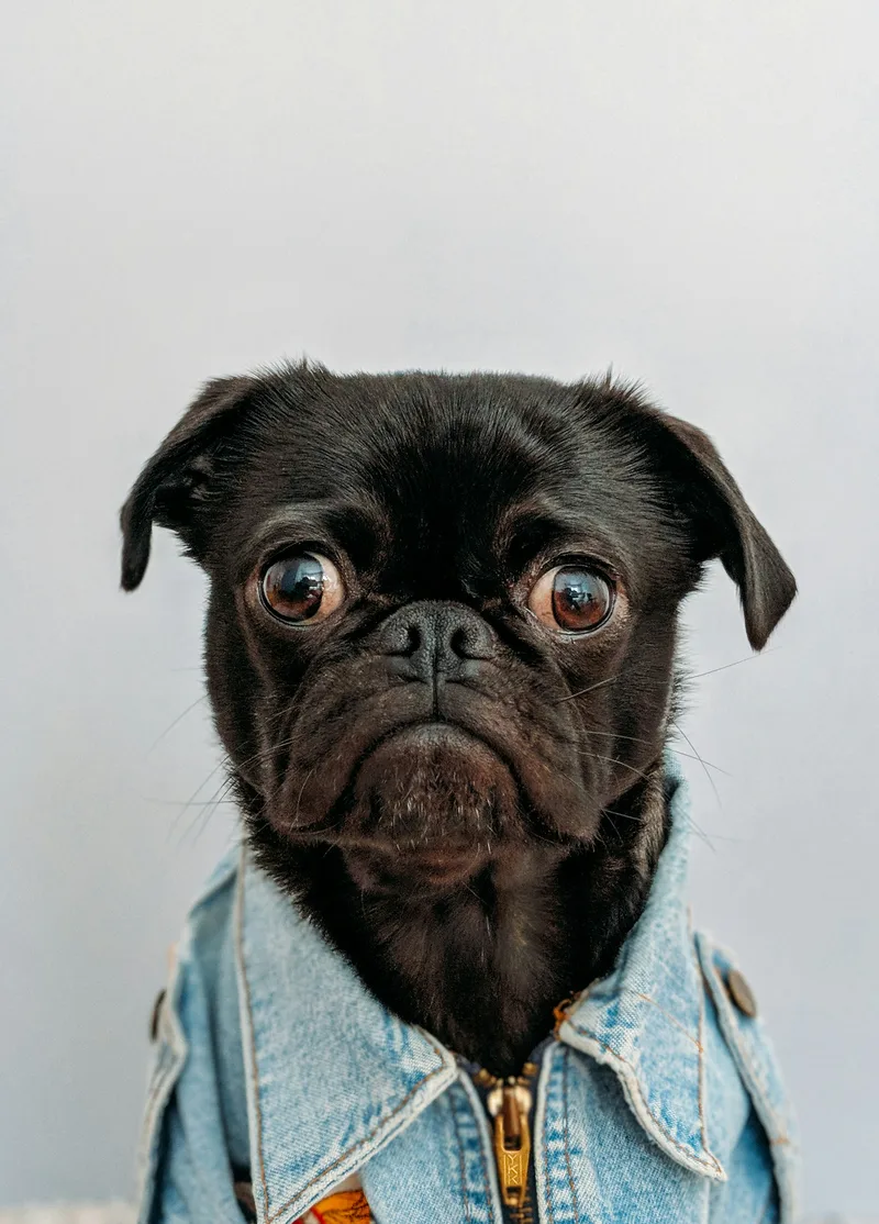 Buster
